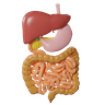 Digestive Health